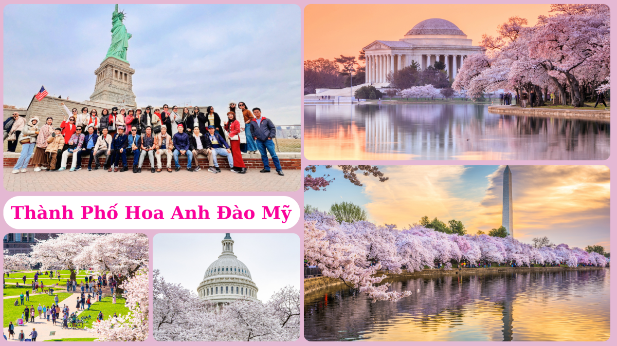 Tổng hợp những thành phố hoa anh đào đẹp nhất nước Mỹ