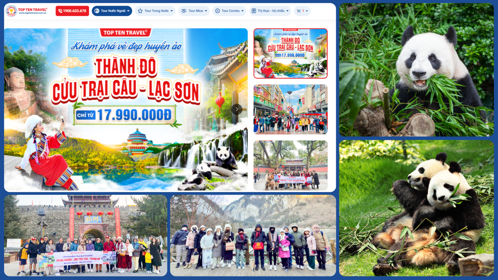 Tour du lịch Trung Quốc nào ngắm gấu trúc?