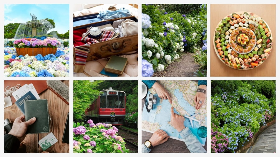 Cẩm nang du lịch Nhật Bản cho mùa hoa cẩm tú cầu từ A đến Z