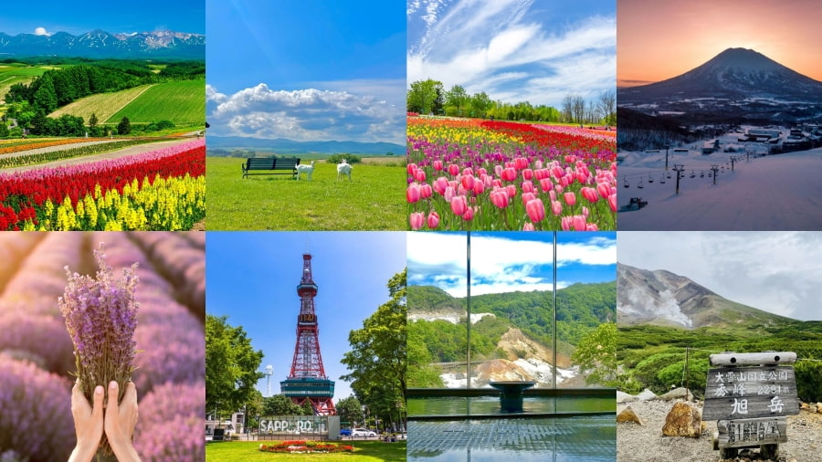Chơi gì ở Hokkaido? Top những trải nghiệm nên thử tại Hokkaido