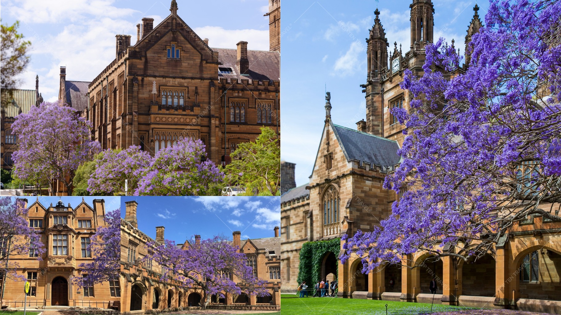 Khung cảnh ngập tràn sắc xuân tại University of Sydney