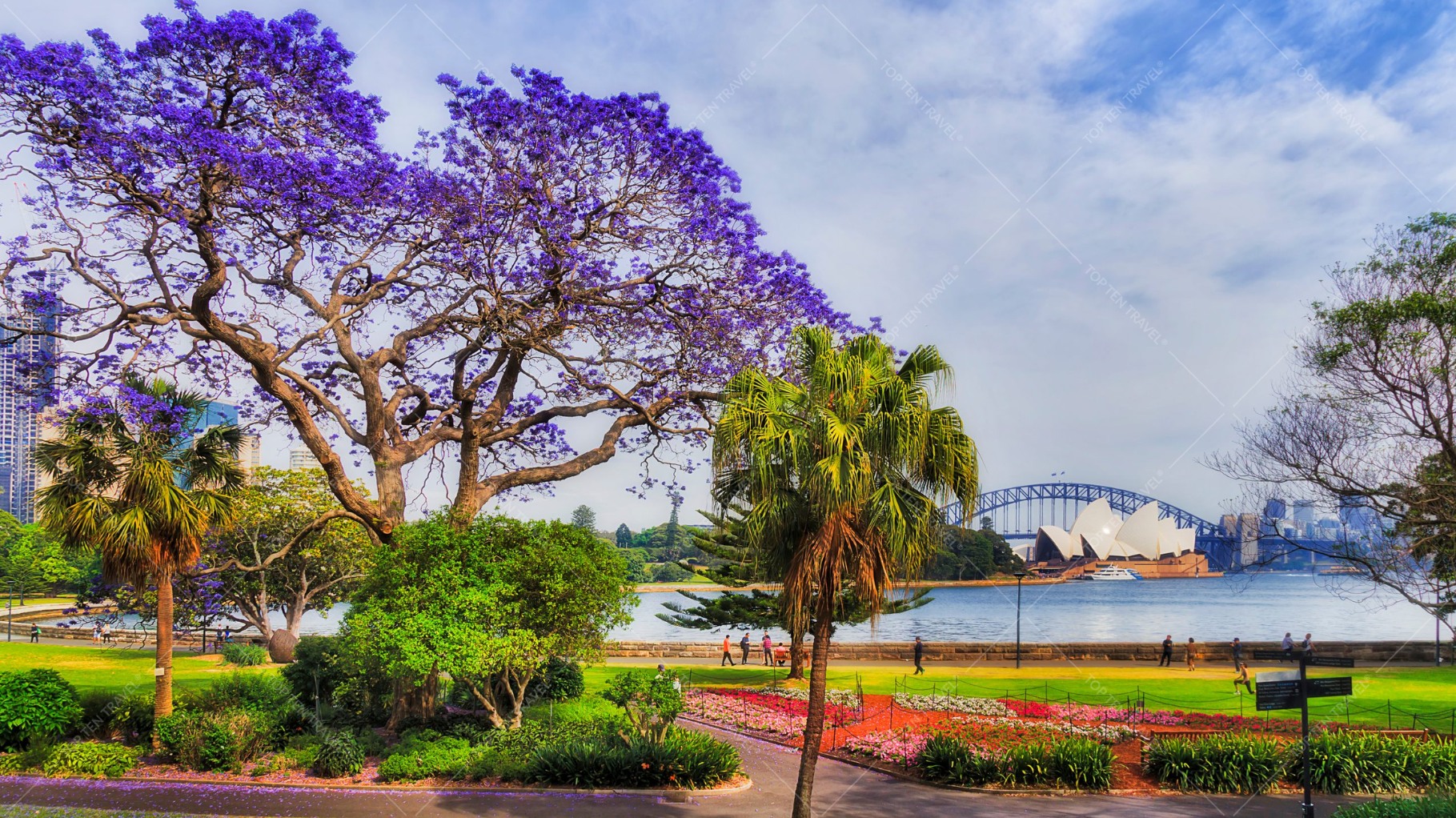 Những hoạt động hấp dẫn tại Royal Botanic Gardens vào mùa xuân