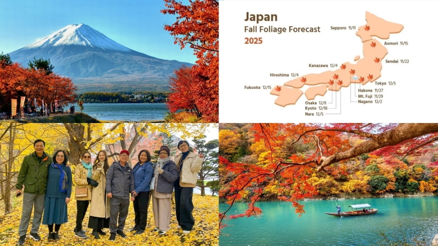 Lịch lá đỏ Nhật Bản 2025 - Cập nhật dự báo chi tiết và mới nhất cho bạn