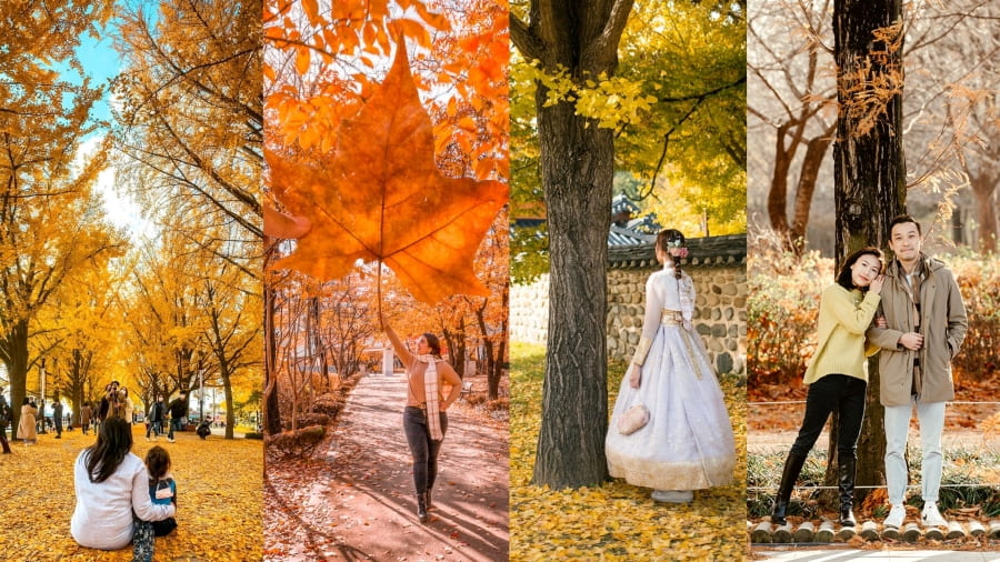 Top 10+ địa điểm chụp ảnh Hàn Quốc mùa thu đẹp nhất không thể bỏ lỡ