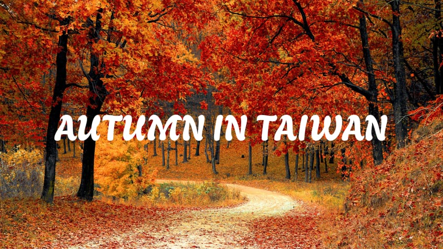 Du lịch Đài Loan mùa thu với 9 trải nghiệm không thể bỏ lỡ