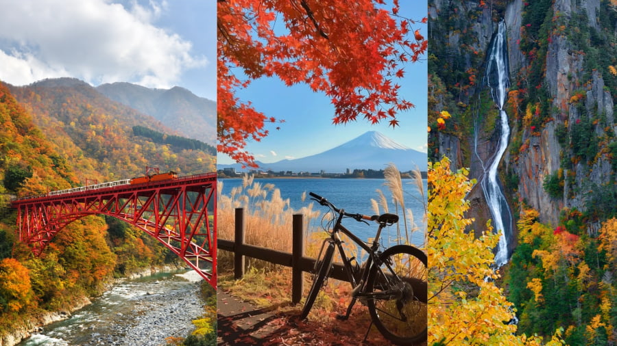 Mùa lá đỏ Nhật Bản 2025: Gợi ý 9 địa điểm ngắm lá đỏ sớm siêu đẹp
