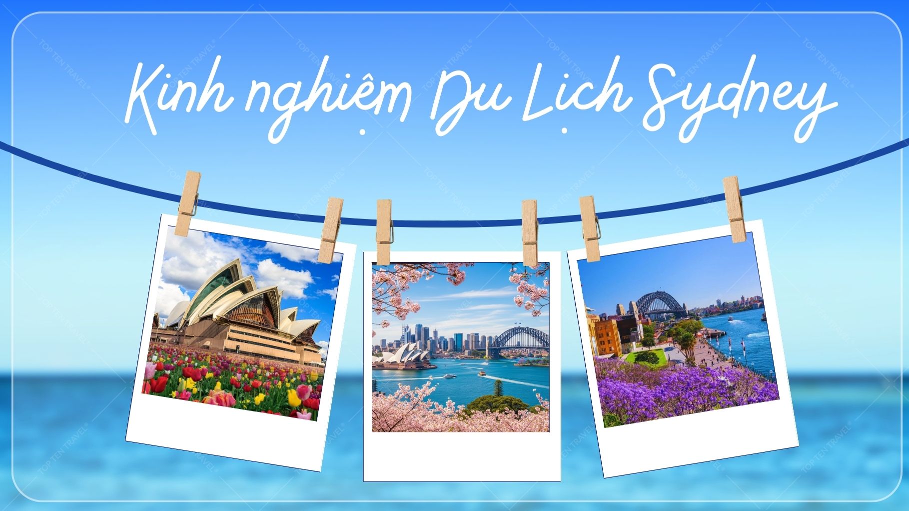 Kinh nghiệm du lịch Sydney mùa xuân