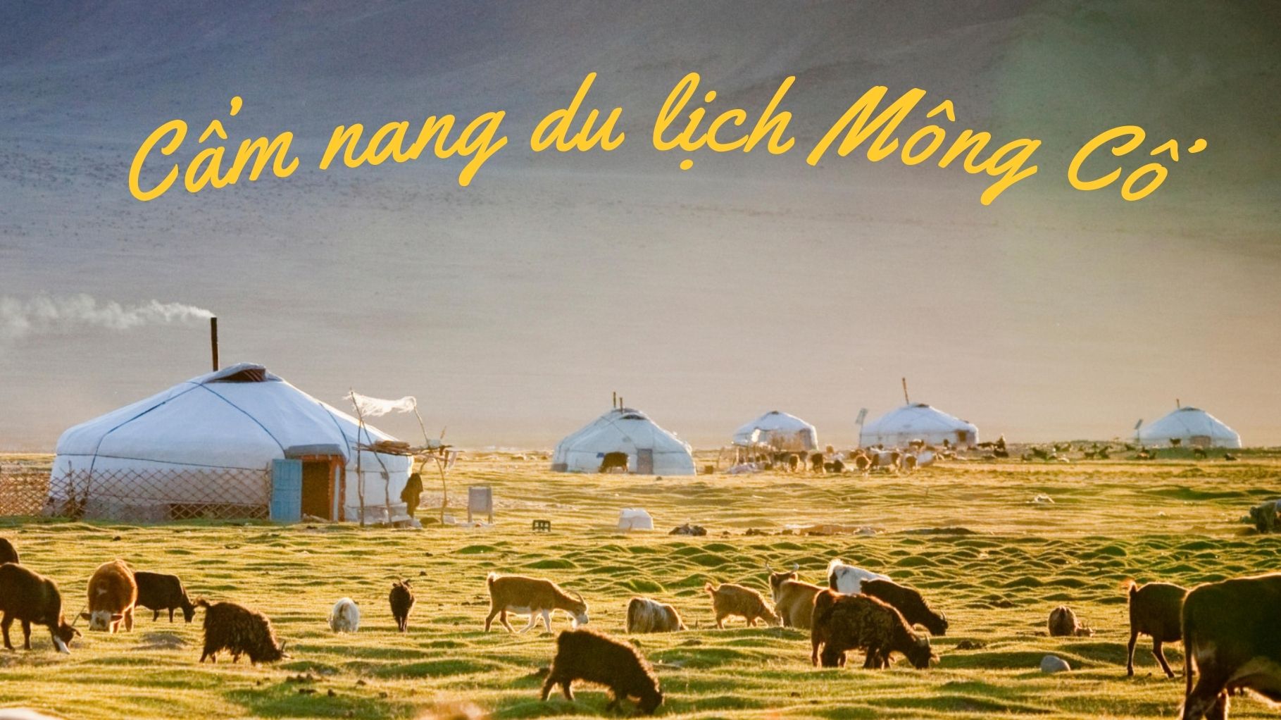 Cẩm nang du lịch Mông Cổ mới nhất