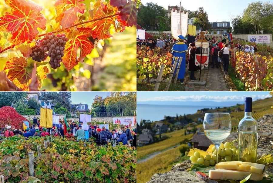 Tổng hợp những lễ hội mùa thu Thụy Sĩ được yêu thích nhất