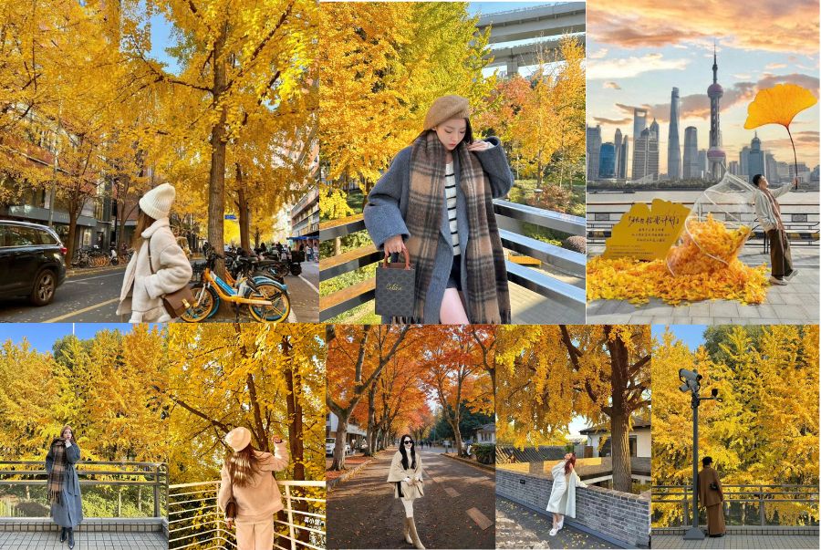 Cách phối đồ khi du lịch Thượng Hải mùa thu