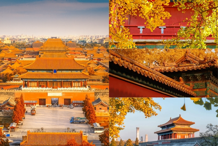 Chiêm ngưỡng vẻ đẹp mùa thu của Tử Cấm Thành tại Bắc Kinh