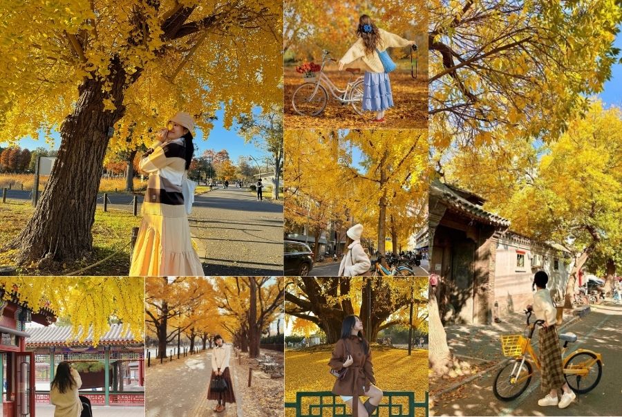 Đi du lịch Bắc Kinh mùa thu nên mặc gì?