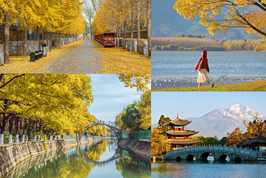 Những điểm đến không thể bỏ lỡ khi du lịch Côn Minh - Lệ Giang mùa thu