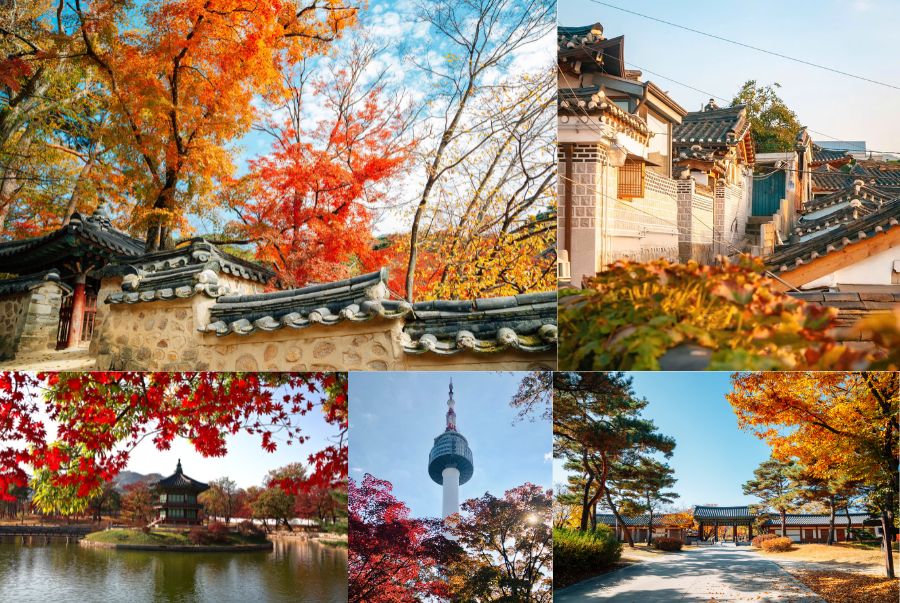 Các hoạt động đặc sắc khi Du lịch Hàn Quốc mùa thu