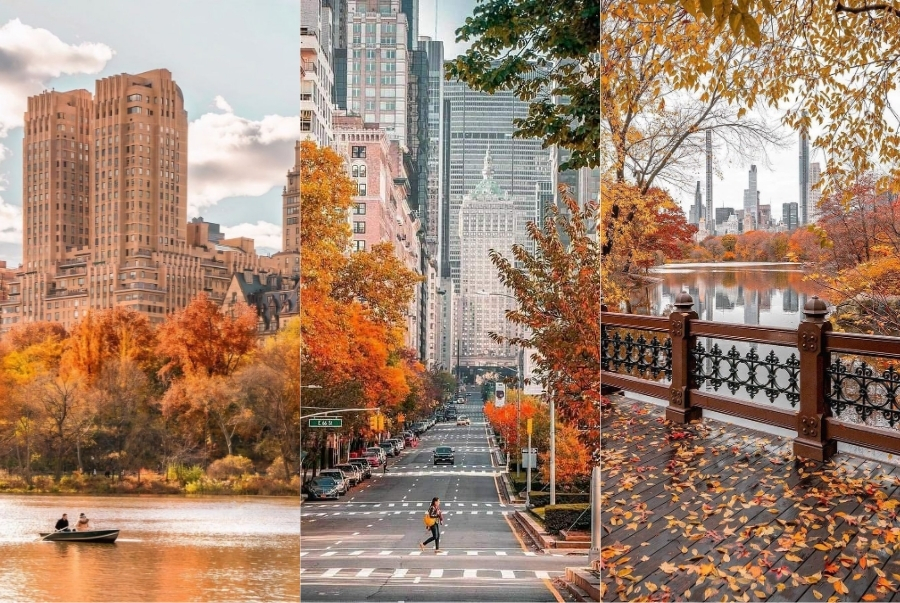 Khám phá vẻ đẹp thơ mộng của mùa thu New York
