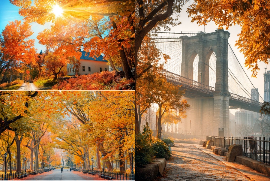 Đặc điểm thời tiết mùa thu ở New York