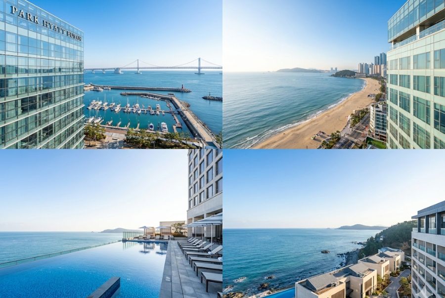 Top 7 khách sạn view đẹp nhất tại Busan