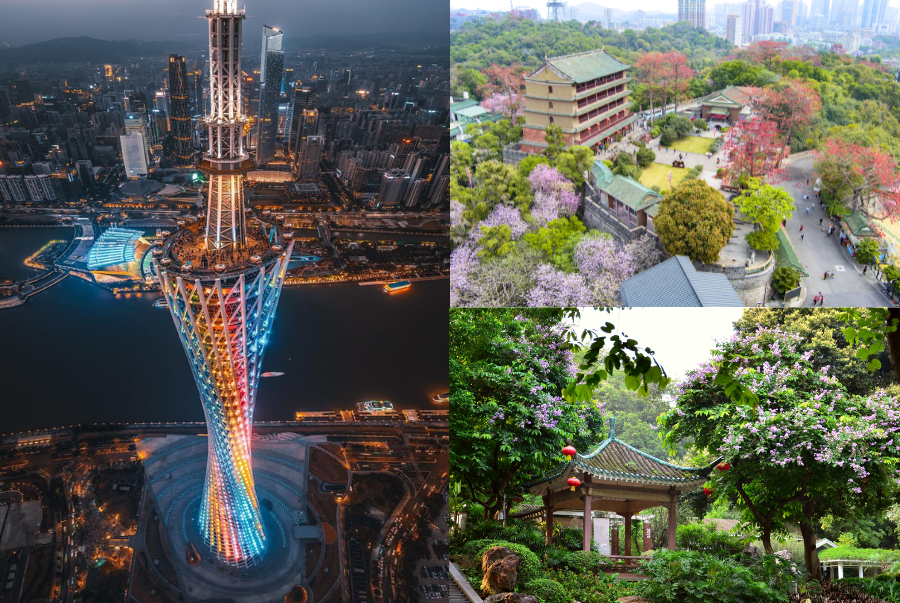 Du lịch Quảng Châu 3 ngày 2 đêm nên đi đâu?