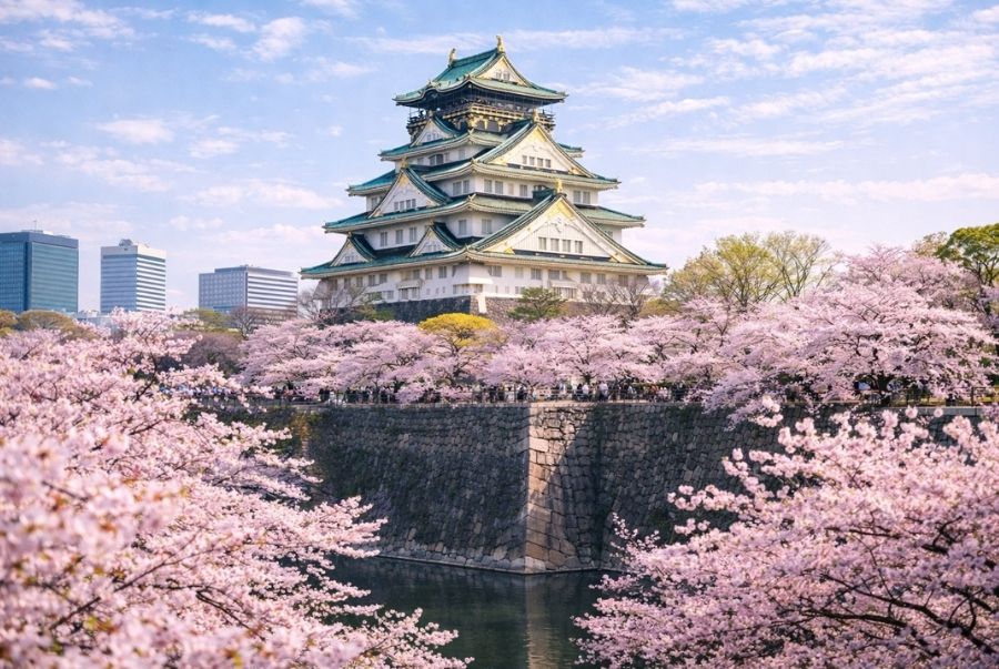 Bạn biết gì về Lâu Đài Osaka? Biểu tượng mùa xuân nổi tiếng tại Kansai