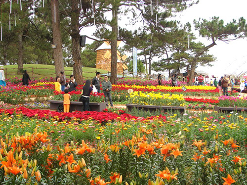 Kết nối hai vùng kinh tế trọng điểm Nghệ An- Lâm Đồng