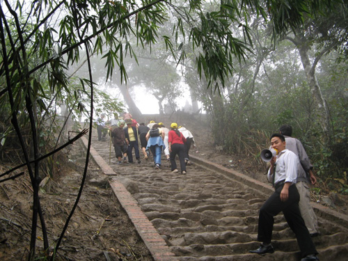 Kỳ lạ chuyện người dính chặt vào cây ở Yên Tử