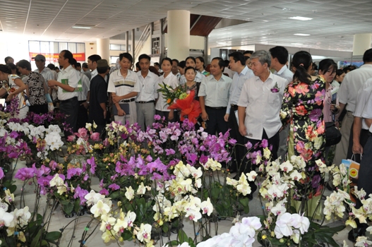 Hội chợ Xuân Giáp Ngọ diễn ra sôi nổi trên khắp cả nước