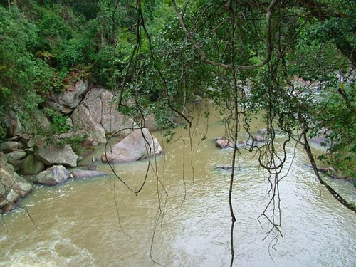 Bảo tồn bến nước, bảo vệ sinh thái rừng Tây Nguyên