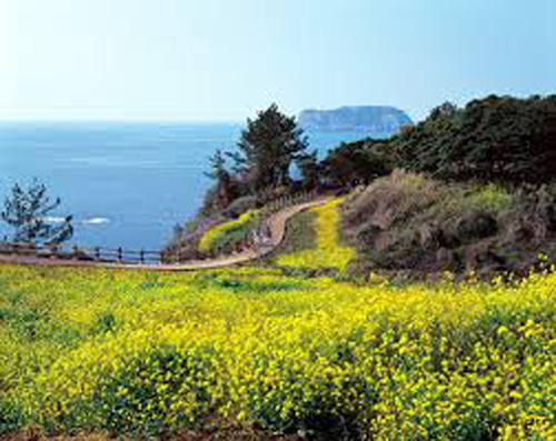 Danh sách 44 nước người Việt Nam không cần xin visa khi đi du lịch