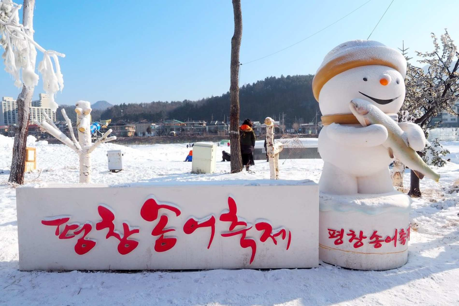 Lễ hội câu cá Pyeongchang - Trải nghiệm mùa đông độc đáo tại Hàn Quốc