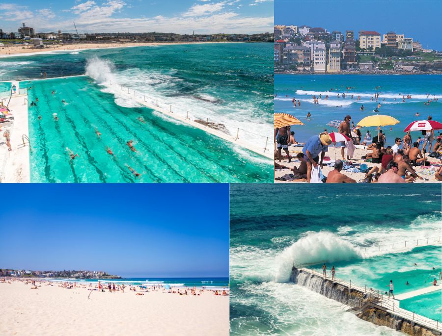 Điểm qua 8 hoạt động hấp dẫn tại bãi biển Bondi vào mùa hè