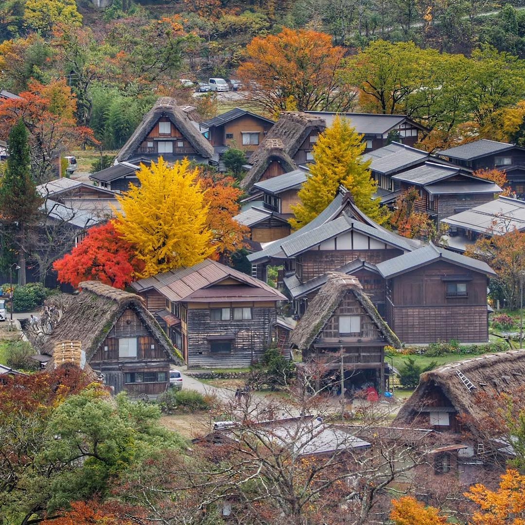 Khám Phá Làng Cổ Shirakawago - Ngôi Làng Cổ Xưa Ở Nhật Bản