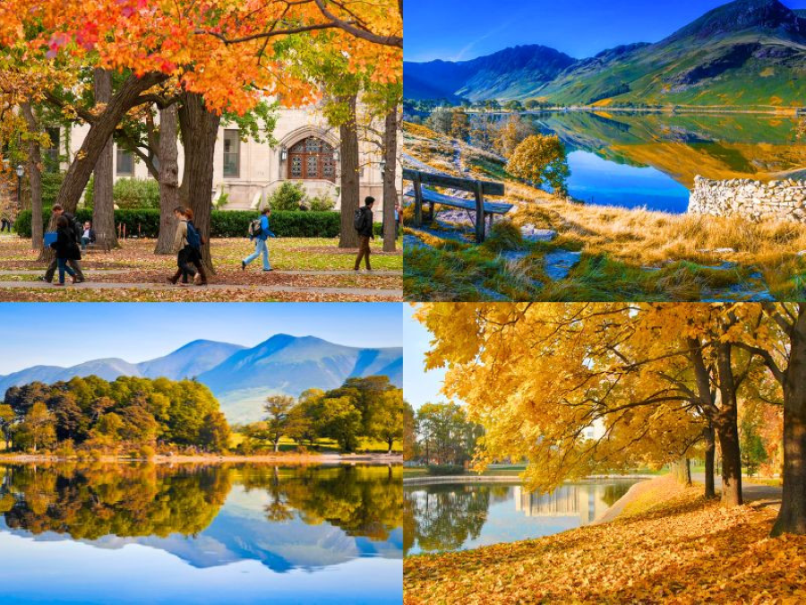 Chiêm ngưỡng sắc đỏ vàng đầy lãng mạn của mùa thu nước Anh