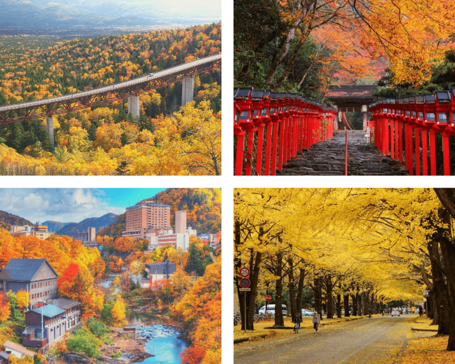 Du lịch Hokkaido mùa thu có gì thú vị?