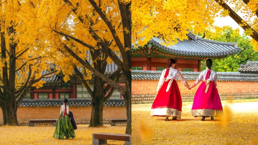 5 lý do bạn nên đi du lịch Hàn Quốc mùa thu