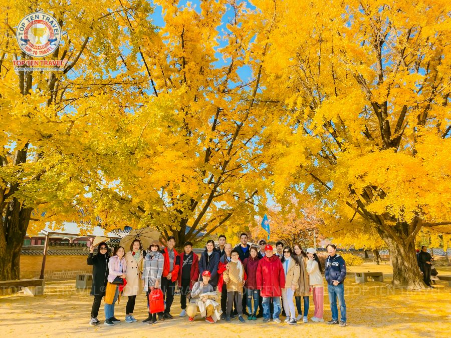 Bỏ túi cẩm nang du lịch Hàn Quốc mùa thu 2024 siêu chi tiết
