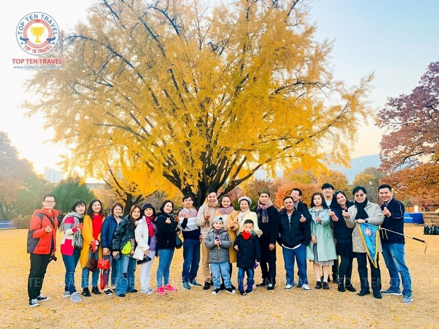 Du lịch Hàn Quốc nên đi đâu vào mùa thu 2024?