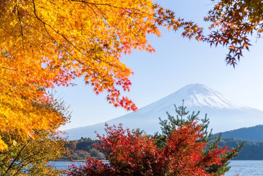 Địa điểm du lịch mùa thu Nhật Bản đẹp nhất 2024
