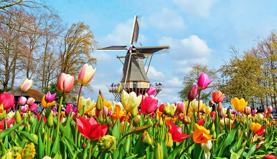 Thơ thẩn trước 5 mùa hoa siêu đẹp tại Châu Âu