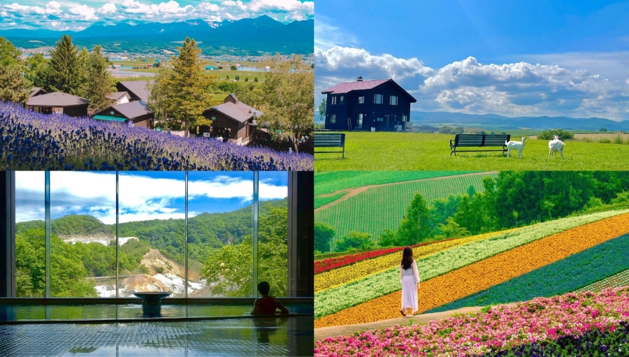 Du lịch Hokkaido mùa hè có gì hấp dẫn?