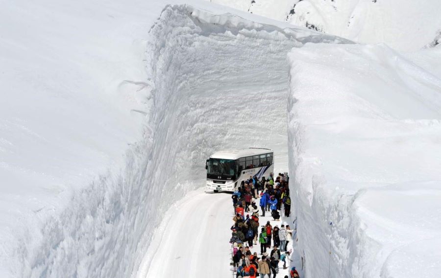 Cung đường tuyết Tateyama nổi tiếng ở Toyama Nhật Bản