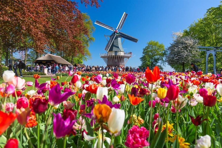 Vườn hoa Keukenhof ở đâu?