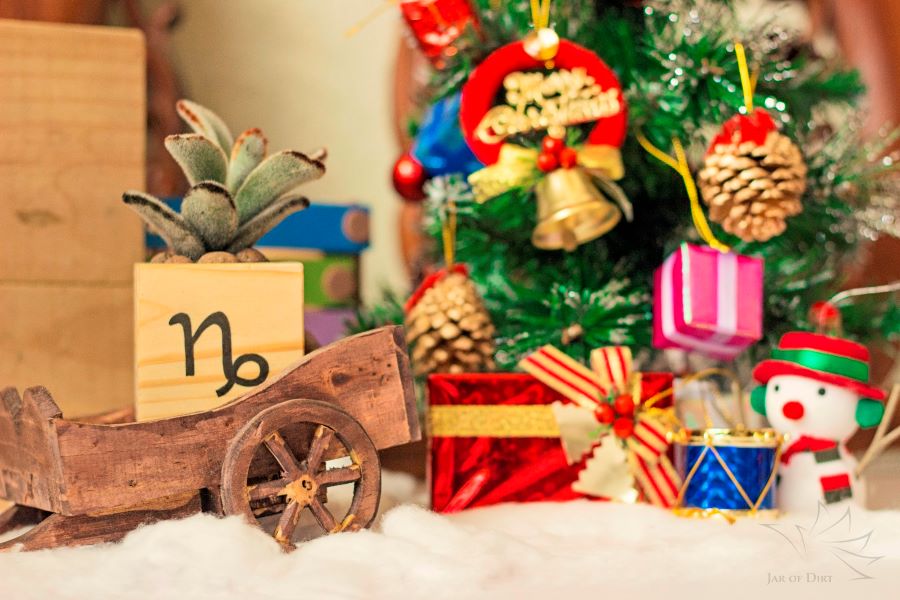 Những điều bạn chưa biết về Lễ Giáng Sinh tại Nhật Bản