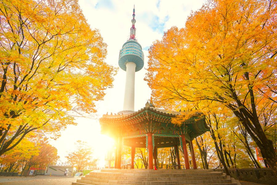 Tháp NamSan - Điểm đến lãng mạn nằm ngay thủ đô Seoul