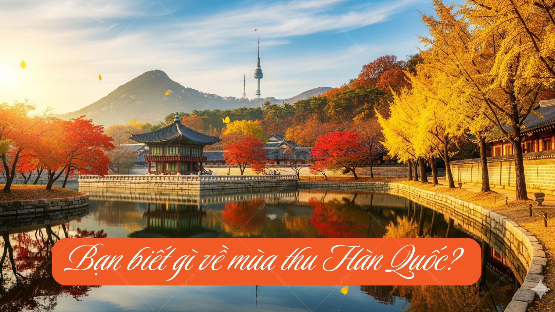 Bạn biết gì về mùa thu Hàn Quốc?