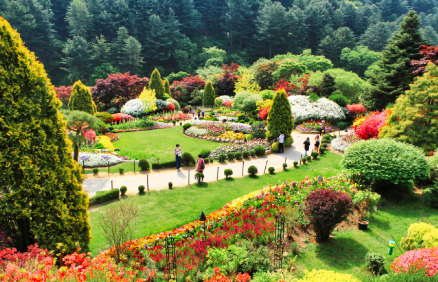 Những trải nghiệm không thể bỏ lỡ khi tới Morning Calm