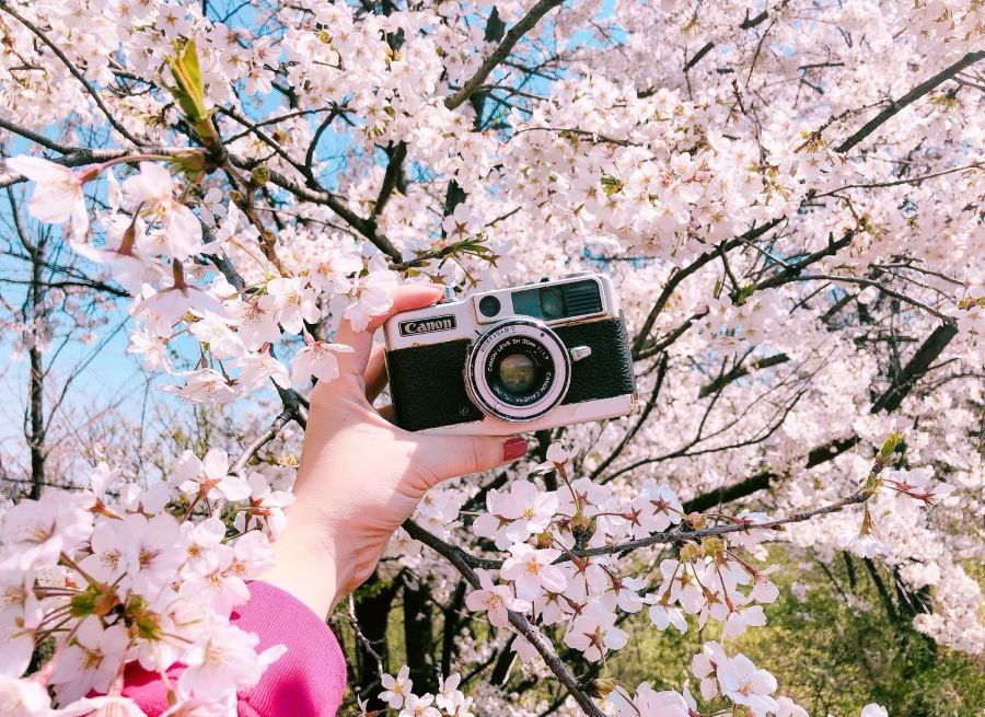 Tour du lịch Hè Châu Á giá rẻ 2023