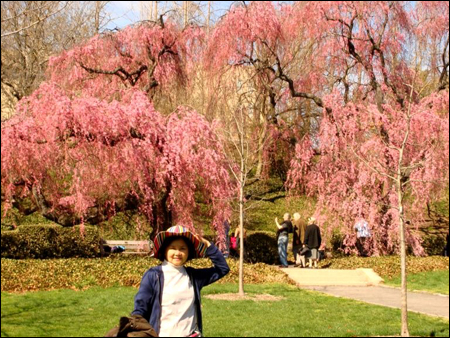 Du ngoạn vườn bách thảo Montreal cùng tour Canada