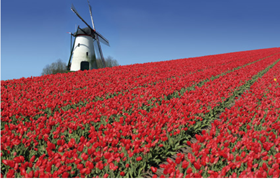 Du lịch Châu Âu - Cơn lốc màu da cam