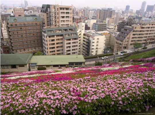Du lịch Nhật Bản – Ngao du cùng thành phố Kobe