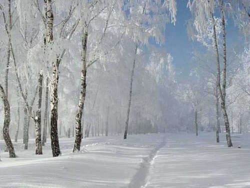 Nước Nga và bản tình ca bốn mùa